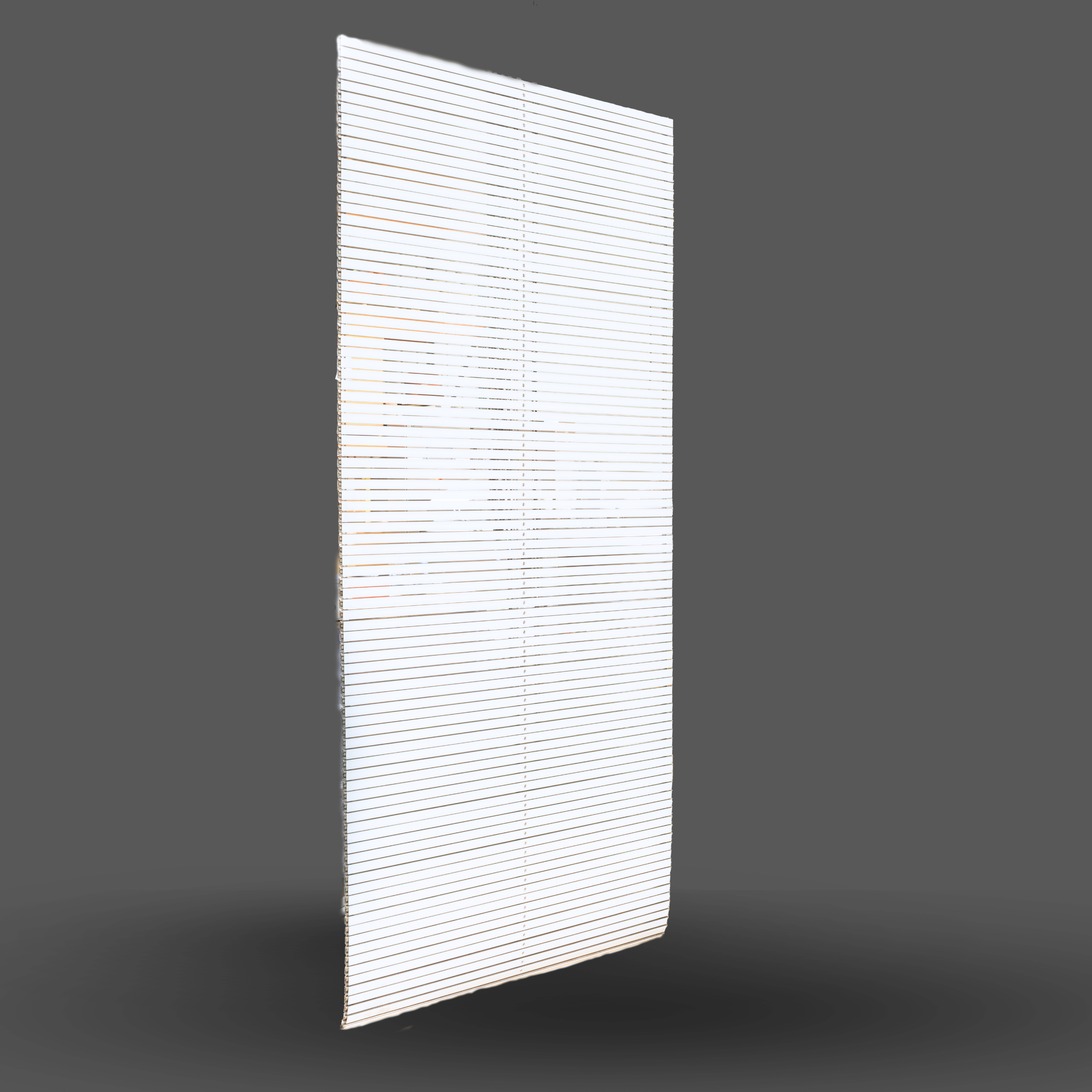Slat Belt Assembly
